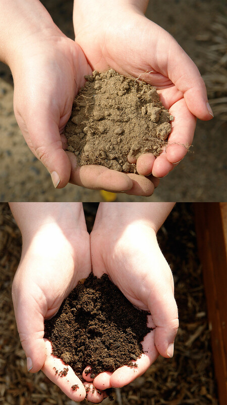Půda před a po vylepšení kompostem.