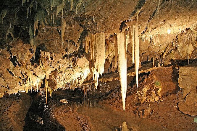 "Vnitřním prostorem samozřejmě jsou i krasové jeskyně - a tak povinnost ochránit obličej rouškou či respirátorem platí od zítřka 10. září i při prohlídce ve všech 14 zpřístupněných jeskyních v ČR," uvedl Gejdoš.