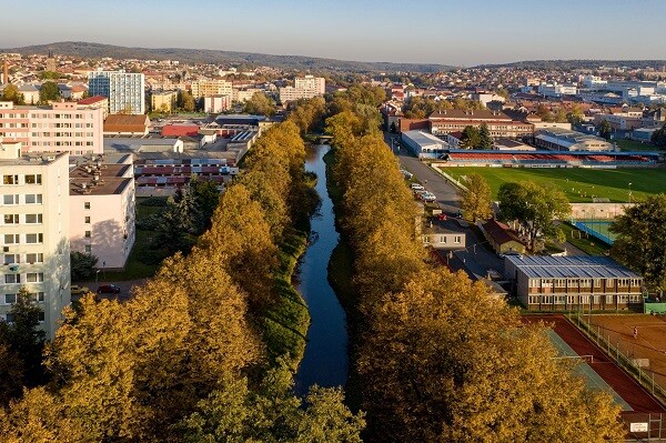 Alejí roku 2019 je památné stromořadí u Rakovnického potoka.