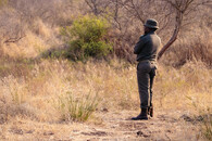 Ranger na africkém safari