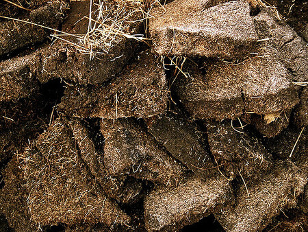 Rašelina není podle platných zákonů ani nerostem, ani biomasou. Dříve se používala jako palivo nebo stelivo pro hospodářská zvířata, nyní je využívána zejména jako základ pro výrobu substrátů