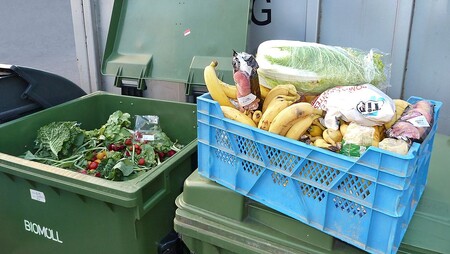 Vybírat neprodané potraviny z popelnice se v Německu nesmí. V Německu se ročně vyhodí 11 milionů tun potravin. / Ilustrační foto