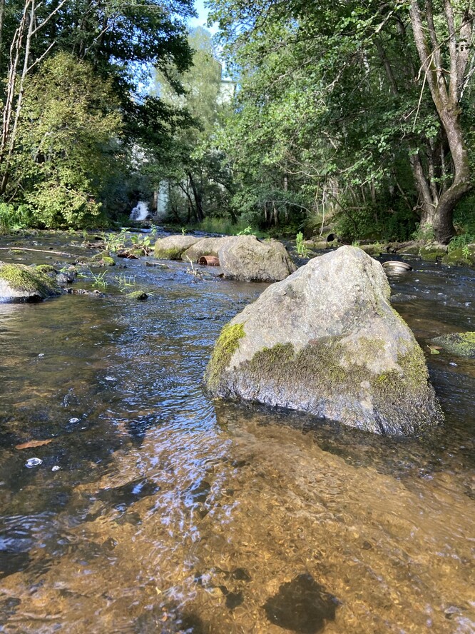 Revitalizace řeky umístěním velkých kamenů.