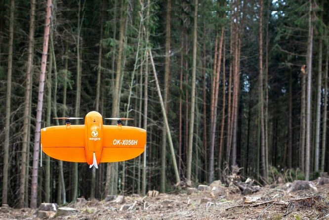 Bezpilotní letouny vyvinuté městskou správou informačních technologií dokážou lesníkům pomoci při včasném odhalení škůdce.