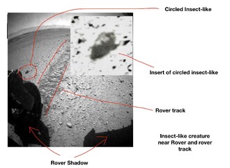 Analýza snímků z Marsu.