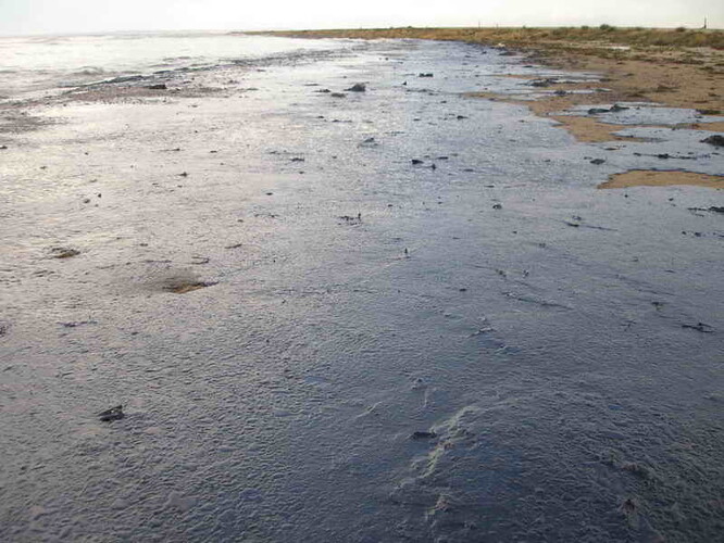 Ropa znečistila pláže o délce 170 kilometrů. Ilustrační obrázek