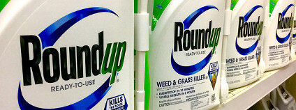 Roundup Foto: Mike Mozart Flickr.