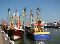 Rybářské lodě v Belgii