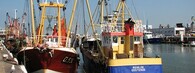 Rybářské lodě v Belgii