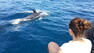 Hana Svobodová s delfínem