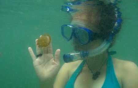 Na ostrově Kakaban můžete při šnorchlování hladit medúzy. Nežahají.
