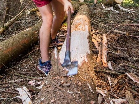 Skauti a skautky za tři měsíce pomohli v Krkonoších odkornit více než 200 metrů krychlových stromů napadených kůrovcem.