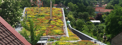 Zelená střecha Foto: Nadace Partnerství