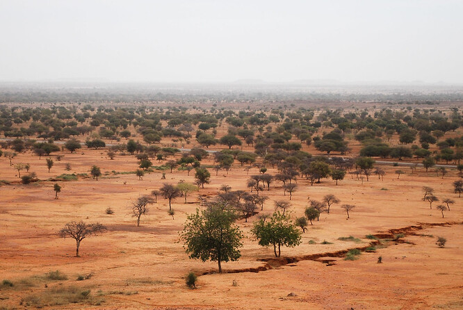 V Nigeru a centrálních oblastech Mali nyní v květnu panují minimální teploty 19 stupňů, za 80 let by to mohlo být 30 stupňů. V Burkině Faso, Togu, Ghaně, Sieře Leone a Libérii, kde je už nyní v květnu minimálně 25 stupňů, by to později mohlo být 31 stupňů.