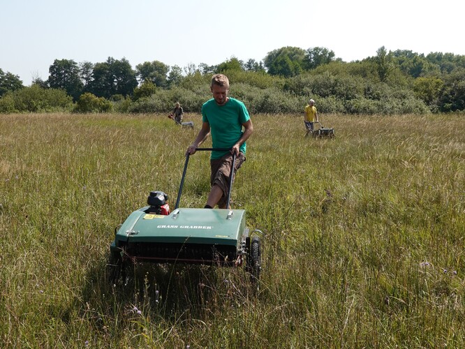 Sběr osiva pomocí kartáčových strojů. Sběr osiva pomocí kartáčových strojů.