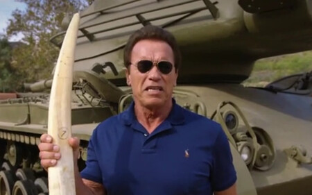 Schwarzenegger na zveřejněné nahrávce třímá sloní kel a vyzývá: "Pojďme jednou provždy skoncovat s poptávkou po nich."