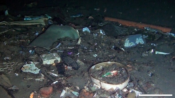 Během příštích 30 let by objem odpadu v moři mohl překročit tři miliardy tun.