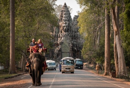 Za půlhodinovou vyjížďku (včetně nasedání a sesedání) zaplatil každý turista 28 dolarů, což plně naložené činilo slony asi ekonomicky nejvýhodnější atrakcí v celé zemi. Slon vás mohl vyzvednout přímo u jednoho z 200 hotelů v Siem Reap a za příplatek s vámi absolvovat podvečerní projížďku kolem Bakheng, nebo výpravu mezi ruiny archeologického naleziště.