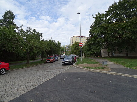 Lípy a javory ve městech nepřežijí. Náhradou by mohly být krátkověké dřeviny. Ilustrační snímek. Lípy a javory ve městech nepřežijí. Náhradou by mohly být krátkověké dřeviny. Ilustrační snímek.