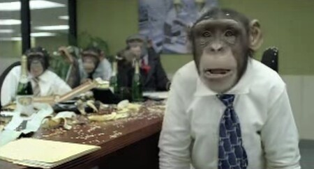 Reklamy se šimpanzi mohou být vtipné. Zároveň však ovlivňují u lidí vnímání toho, jak moc jsou šimpanzi ohroženým druhem.