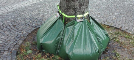 Novou metodu zavlažování stromů pomocí speciálních vaků s vodou testují v ulicích v Novém Boru na Českolipsku.