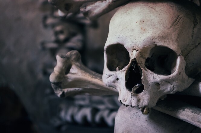 Kosti v sobě obsahují fosfor. V 19. století se kvůli tomu rabovaly kostnice a s kostí se dělalo hnojivo.
