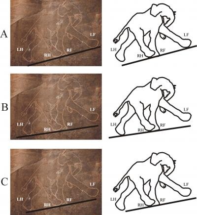 Malba slona v chůzi, libyjská jeskyně Tadrart. Vědci při zkoumání tohoto obrazu uvažovali o třech možných proložení země, po které slon kráčí.