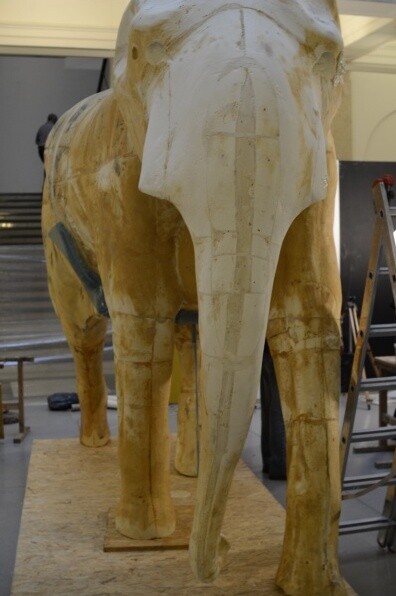 Preparát sloního samce Calvina, který byl loni ze zdravotních důvodů utracen v ostravské zoologické zahradě, bude vystaven ve Slezském zemském muzeu v Opavě.