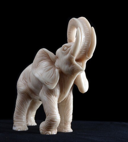 Mezinárodní obchod se slonovinou je nezákonný od roku 1990 a Británie nedovoluje prodej klů slona afrického jakéhokoli stáří. V současné době je možné v Británii i dalších zemích Evropské unie obchodovat s předměty ze slonoviny vyrobenými před rokem 1947. Novější výrobky potřebují k prodeji vládní potvrzení. / Ilustrační foto