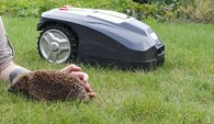 sophie-with-hedgehog-and-robotic-lawn-mower_credits-troels-pank.jpg