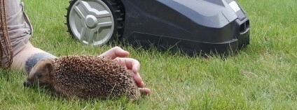 Foto: Troels Pank / Oxfordská univerzita Foto: Troels Pank / Oxfordská univerzita