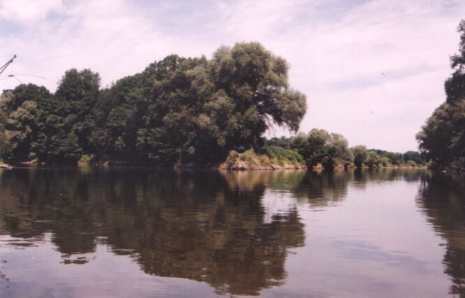 Soutok Moravy (zprava) a Dyje (zleva), dále již spojené řeky pokračují jako Morava až do Dunaje.