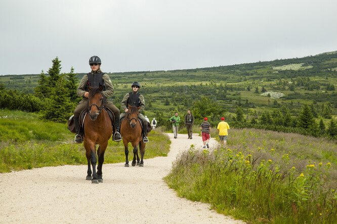 V letních měsících strážci využívají ke strážní službě i koně.