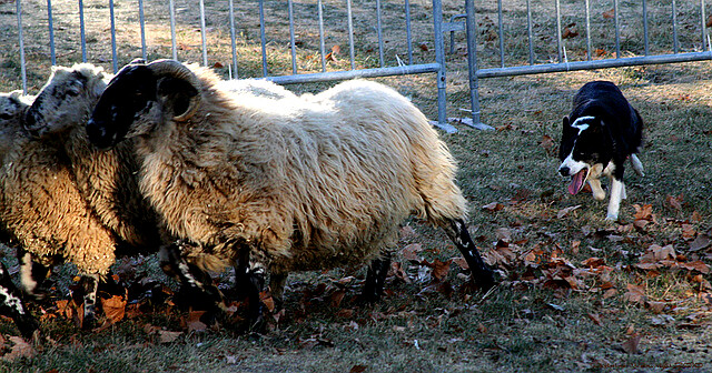 Ilustrační snímek. Ilustrační snímek.