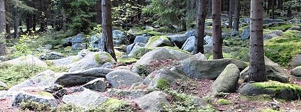 Štamberk kamenné moře Foto: Kraj Vysočina Štamberk kamenné moře Foto: Kraj Vysočina