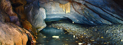 Foto: © Jiří Komárek www.JiriKomarek.net / Wikimedia Commons Foto: © Jiří Komárek www.JiriKomarek.net / Wikimedia Commons
