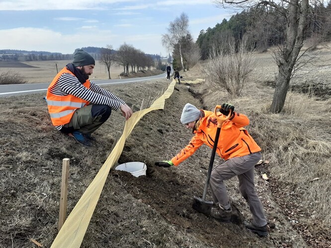 Stavba migračních zábran u Šumavských Hoštic. Stavba migračních zábran u Šumavských Hoštic.