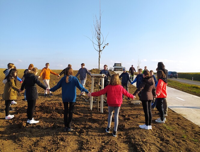 Stromořadí podél cyklostezky pod Vlčnovskými búdami. Stromořadí podél cyklostezky pod Vlčnovskými búdami.