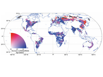 Mapa ukazuje oblasti kde sucha (modrá), vedra (červená) případně obojí (fialová) a další (zelená) extrémní jevy snižují schopnost rostlin zachycovat uhlík. Světlejší barva znamená slabší efekt, zatímco tmavší silnější.