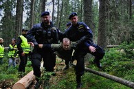 Policisté vynáší aktivistu z lesa