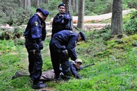 Policisté zatýkají aktivistku, která bránila stromy proti pokácení.