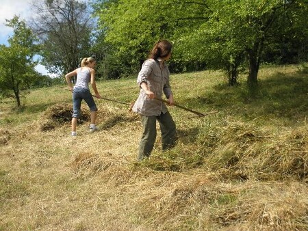 Na příští víkend přijede dalších 30 dobrovolníků, aby pomohli s hrabáním a nakládáním posečené trávy. Ilustrační snímek