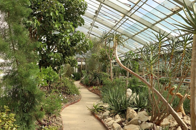 Ve skleníku a v jeho okolí vzniklo několik dílčích botanických expozic, které se kromě sucha a ostrovních enkláv věnují také některým botanikům.