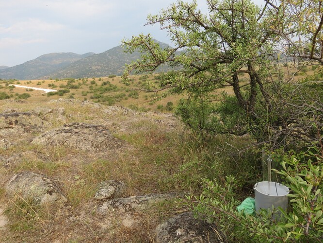 Světelný lapač v terénu, červenec 2013, Řecko. Světelný lapač v terénu, červenec 2013, Řecko.