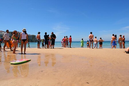 Prý je 100x větší pravděpodobnost, že se utopíte, než že vás sežere žralok. Ale spoléhejte na to! Prý je 100x větší pravděpodobnost, že se utopíte, než že vás sežere žralok. Ale spoléhejte na to!