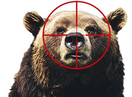 Státy Wyoming, Idaho a Montana hodlají letos využít svého nově nabytého práva, a začít odstřelem regulovat donedávna přísně chráněnou populaci medvědů grizzly. / Ilustrační foto