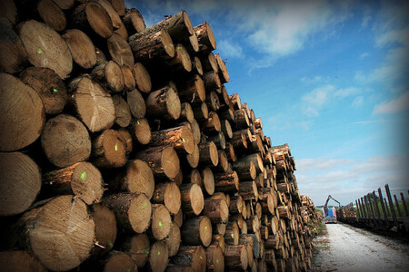Podle Douglase Clarka, odborníka z UNECE, může být tato tendence znepokojující pro ostatní sektory - kvůli ceně a dodávkám dřeva.