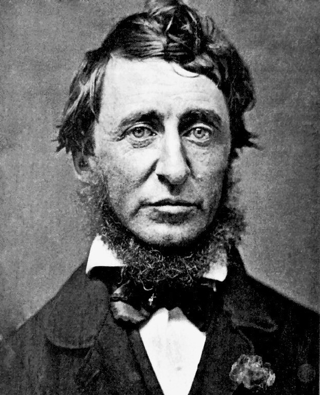 Henry David Thoreau v červnu 1856, tedy ve věku 39 let.