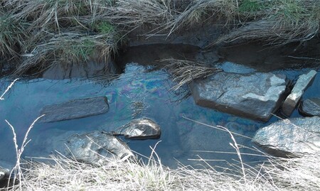 Na nelegální vypouštění závadných látek inspektoři přišli v roce 2016 při zjišťování příčin znečištění Moravanského rybníka.