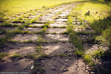 K odstraňování trávou prorostlých chodníků se v Liberci používá chemický prostředek Roundup, který obsahuje látku glyfosát.  Ilustrační snímek.